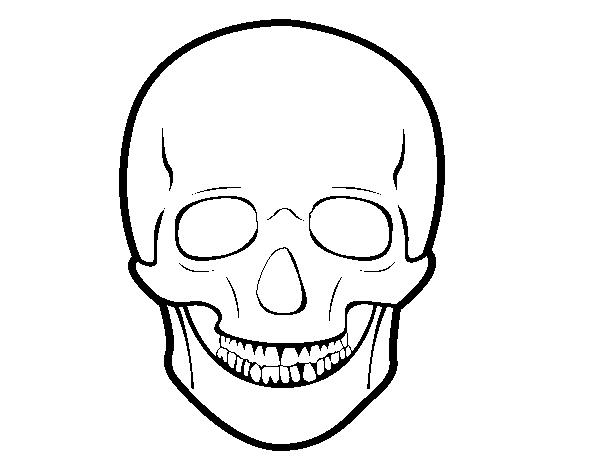 Coloriage de Crâne humain pour Colorier