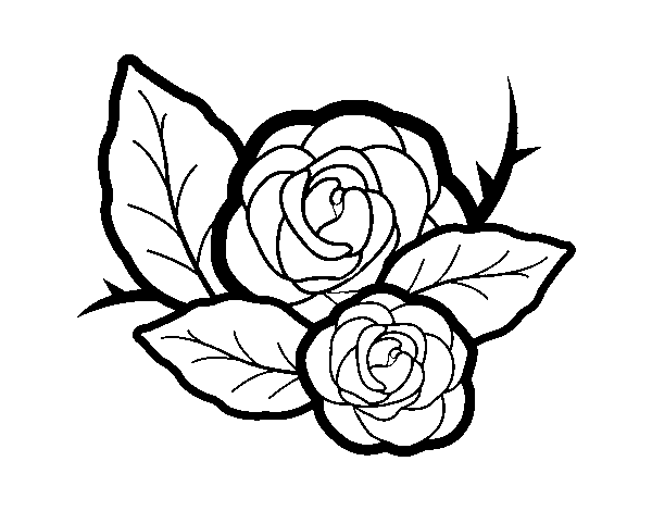 Coloriage de Deux roses pour Colorier