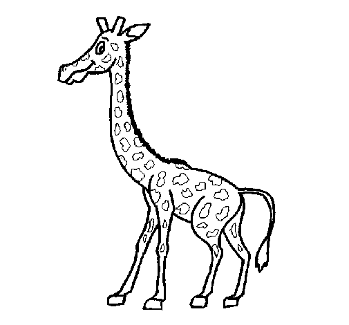 Coloriage de Girafe 1 pour Colorier