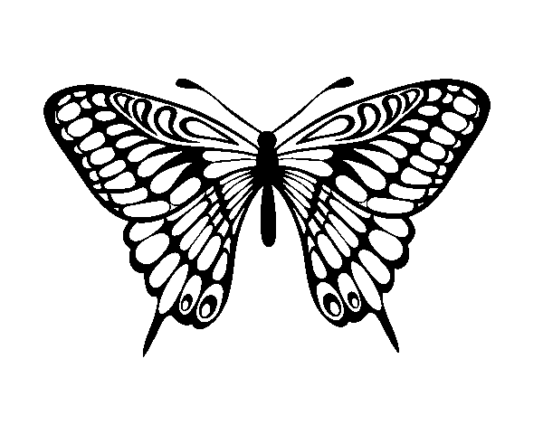 Coloriage de Le Grand Mormon papillon pour Colorier