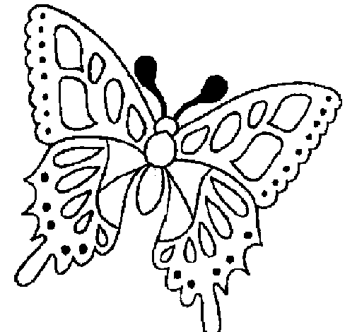 Coloriage de Papillon 2a pour Colorier