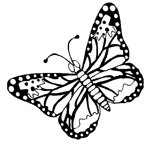 Coloriage de Papillon 4 pour Colorier