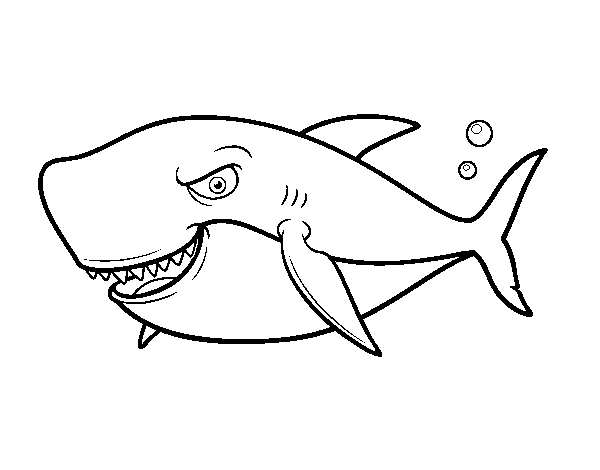 Coloriage de Requin de grandes dents pour Colorier