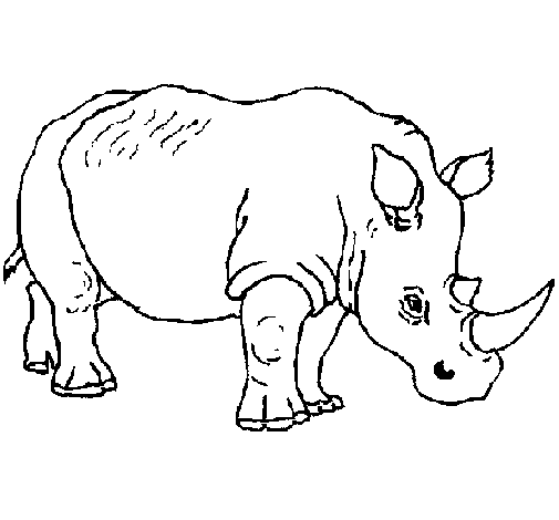 Coloriage de Rhinocéros 3 pour Colorier