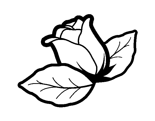 Coloriage de Rose avec des feuilles pour Colorier