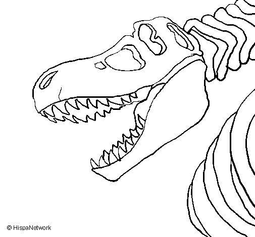 Coloriage de Squelette de Tyrannosaurus rex pour Colorier