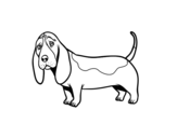 <span class='hidden-xs'>Coloriage de </span>Un Basset hound à colorier
