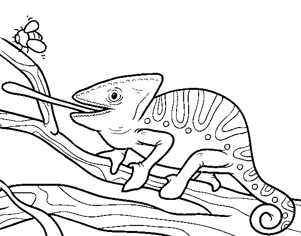Coloriage de Un caméléon avec la langue pour Colorier