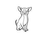<span class='hidden-xs'>Coloriage de </span>Un chien chihuahua à colorier