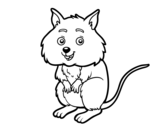 Dibujo de Un petit hamster