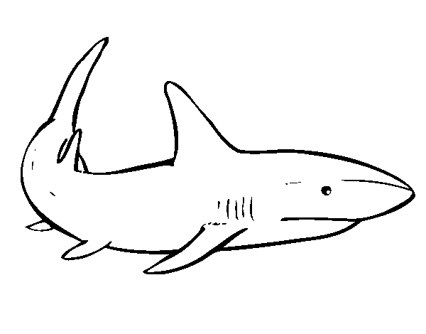 Coloriage de Un requin nageant pour Colorier