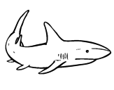 <span class='hidden-xs'>Coloriage de </span>Un requin nageant à colorier