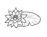 <span class='hidden-xs'>Coloriage de </span>Une fleur de lotus à colorier