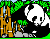 Coloriage Panda et bambou colorié par MELINA