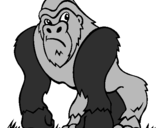 Coloriage Gorille colorié par stacyanna.