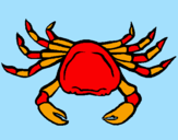 Coloriage Crabe de mer colorié par kylianthedragon