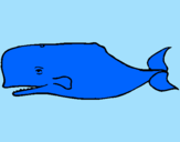 Coloriage Baleine bleue colorié par kylianthedragon