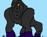 Coloriage Gorille colorié par louis
