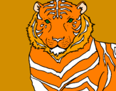 Coloriage Tigre colorié par tifaine