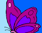Coloriage Papillon colorié par Titi