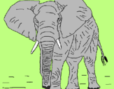Coloriage Éléphant colorié par tifaine