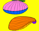 Coloriage Palourdes colorié par camile