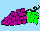 Coloriage grappe colorié par linus