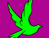 Coloriage Colombe de la paix en plein vol colorié par Kyoya