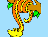 Coloriage Serpent pendu à un arbre colorié par dessin