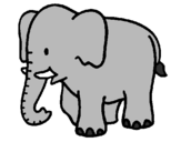 Coloriage Bébé éléphant colorié par dessin