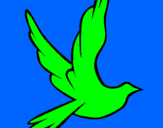 Coloriage Colombe de la paix en plein vol colorié par marie