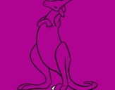 Coloriage Kangourou colorié par JULES