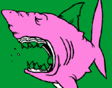 Coloriage Requin colorié par JULES