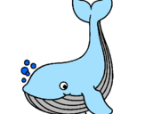 Coloriage Petite baleine colorié par jkg