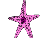 Coloriage Étoile de mer colorié par jkg