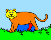Coloriage Panthera  colorié par julieta va
