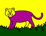 Coloriage Panthera  colorié par JULES