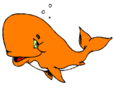 Coloriage Baleine honteuse colorié par G orange 1