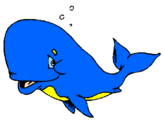 Coloriage Baleine honteuse colorié par G rose 1