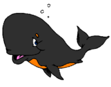 Coloriage Baleine honteuse colorié par Evelyn