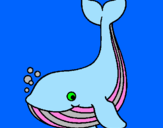Coloriage Petite baleine colorié par hubert