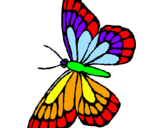 Coloriage Papillon colorié par rodolphe