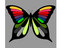 <span class='hidden-xs'>Coloriage de </span>Papillons à colorier