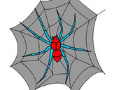 Coloriage Araignée colorié par anais2008