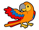 Coloriage Perroquet avec wideout colorié par Krystofer 