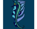 Coloriage Cheval de mer oriental colorié par KAKE