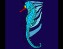Coloriage Cheval de mer oriental colorié par KAKE