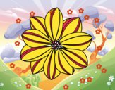 Coloriage Fleur en marguerite colorié par lesteven