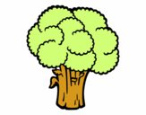 Légumes brocoli