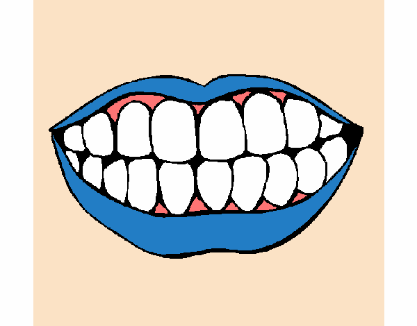 Bouche et dents